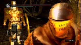 【DARKSOULS】カンスト世界に行ってみよう  デーモン遺跡の２ボス【実況】