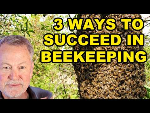 Beekeeping: Master Three Techniques For Better Results