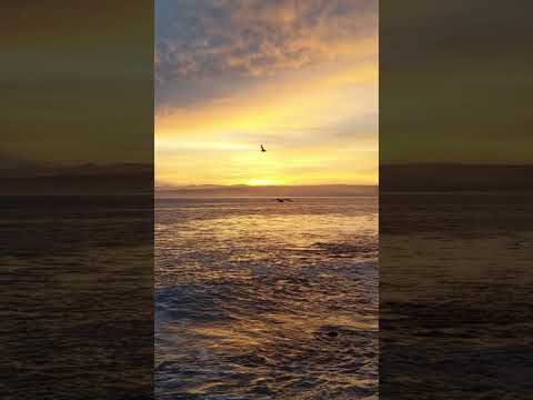 Cuor Mio, Non Piangere (My Heart, Don’t Cry) Written by Michelle Ried