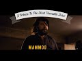 Kerala Manninayi Birthday Tribute To Mammookka Bheeshma Parvam ABCD Mix Edited By Nitin