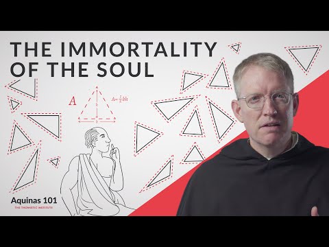 Philosophy Shows You Have an Immortal Soul (Aquinas 101)