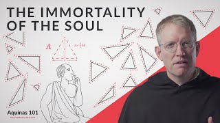 Philosophy Shows You Have an Immortal Soul w/ Fr. James Brent, O.P. (Aquinas 101)