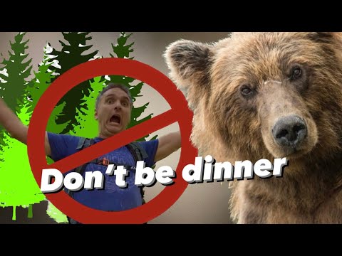 Hiking in Bear Country | Safety Tips