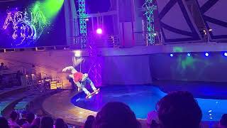 Aqua show on Oasis of the Seas back to the future