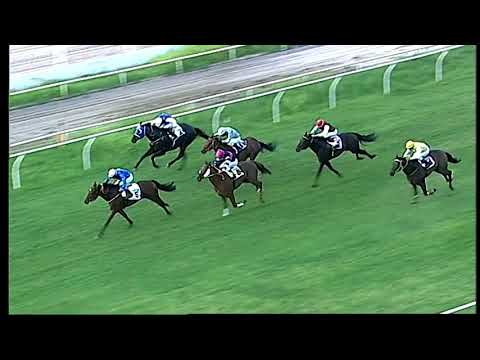 Napoli Galoppo 22/06/2021 - 5ª corsa