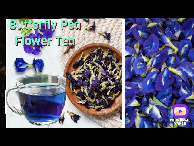 Judge.me YouTube video placeholder