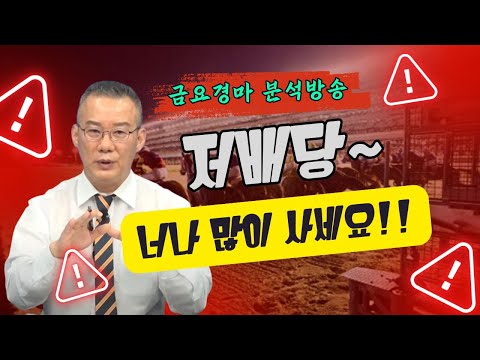 6월 27일(金) 강백호-부산경마 배당이 터질수 밖에..Horse racing king..