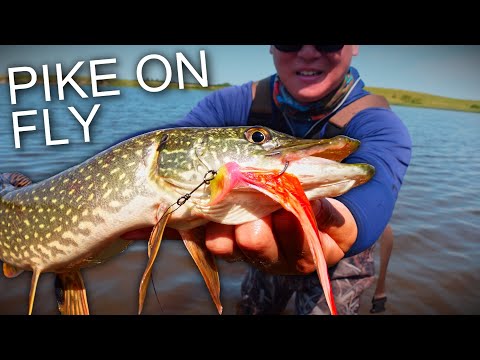 Fly Fishing for Pike on Canada Day!!