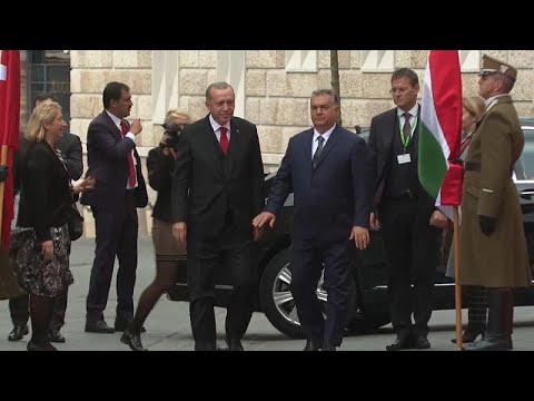 فيديو أوربان وإردوغان يظهران تفاهمهما في لقاء بودابست
