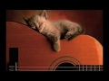 Bob Dylan - Cats In The Well - live Montreux 2001