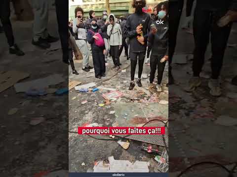 La desesperación de una francesa mientras arrasan su comercio 'ingenieros' africanos