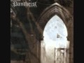 PANTHEIST - Envy