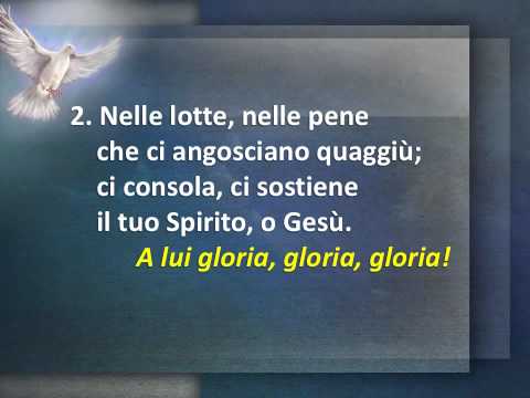 176  PER LE VIE DEL BEN CI GUIDA