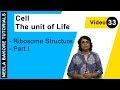 Cell The Unit Of Life NEET Ribosome Structure Part I Neela Bakore Tutorials