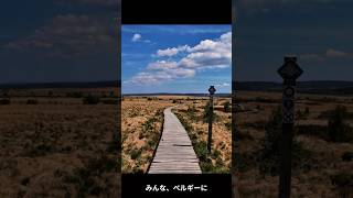 欧州在住日本人が無双する❕ベルギー、緑の国ワロニー地方。 #trip #旅行 #ベルギー #travel #travelphotography #wallonie