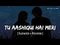 Tu Aashiqui Hai Meri Lofi Slowed Reverb Payal Dev Stebin Ben RN Lofi Alone