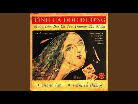 Ngày không thấy mặt trời - Trầm Tử Thiêng