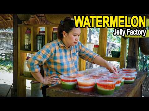 WATERMELON Jelly Factory on Farm | Homemade Fruit Juice Goes to Market | Ly Thi Ca