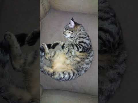 sleeping beauty😘😍