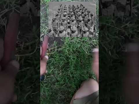 [TreasureHunt] In Honor of Private Bergstein 🫡 #metaldetecting #shorts #ww2