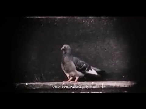 Lovin' Spoonful | You And Me And Rain On The Roof