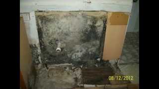 preview picture of video 'Water Damage Clean Up ST James NY 11780| Wet Carpet Mold Water Extraction'