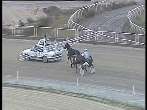 Trotto 03/12/2017 - prova di qualifica