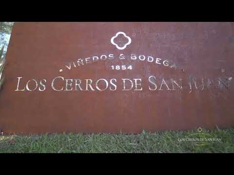Donde el vino nace con historia Los Cerros de San Juan