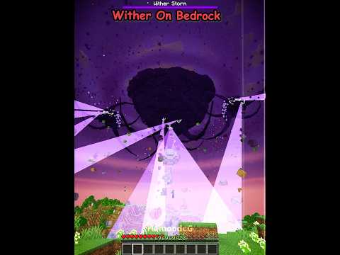Java Wither VS Bedrock Wither 💀