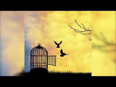 Jack Kornfield – Heart Wisdom – Ep. 51 – Identity and Freedom