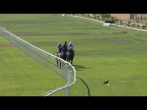 2022.07.24. 07. futam - HESP RÓBERT EMLÉKVERSENY (Elit kat.)