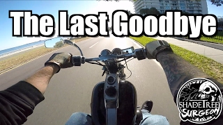 The Last Goodbye