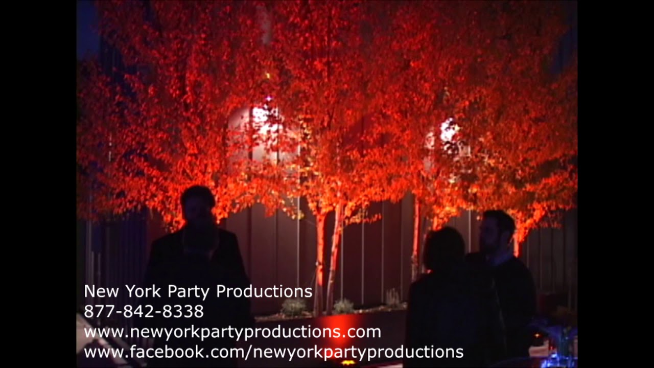 Promotional video thumbnail 37 for New York Party Productions