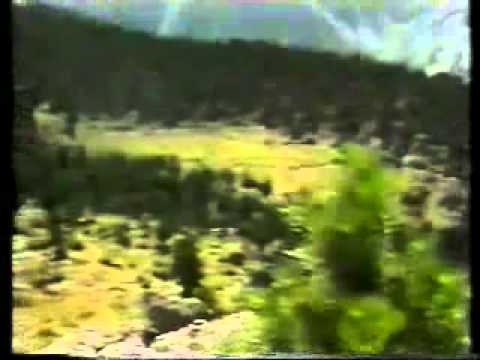 Gezim Nika - Shqiperi o nëna ime