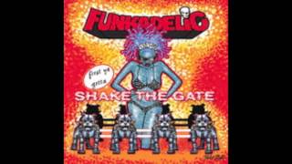 Fu*ked Up -Funkadelic