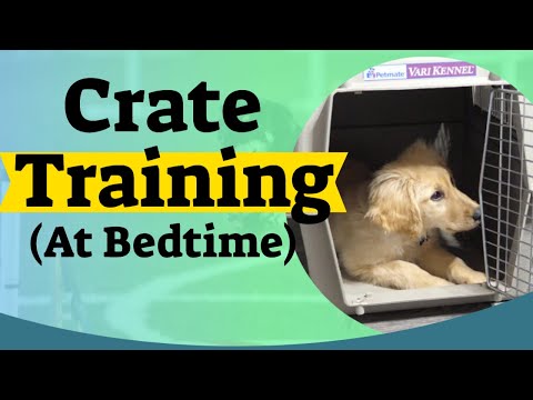 How to Crate Train A Puppy At Night - Crate training for puppies