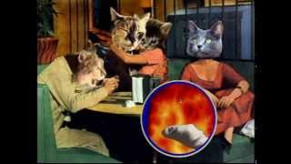 Negativland - Gimme the Mermaid