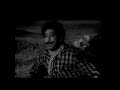 Veyirkktera Nizhalundu Kalvanin Kadhali