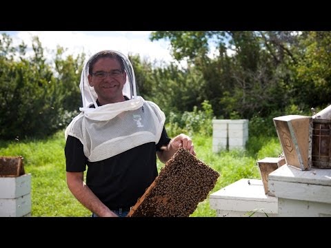 download lagu mp3 mp4 Raw Honey Bc, download lagu Raw Honey Bc gratis, unduh video klip Raw Honey Bc