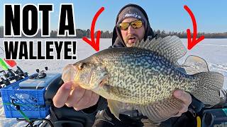 My Last Shot At A Giant Ice Walleye Did NOT Go As Planned!