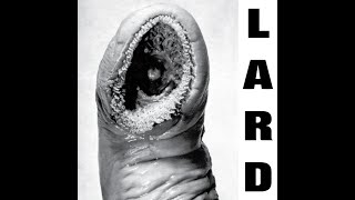 Lard - Time To Melt [Lyrics/Letras (ENG/PT-BR)]