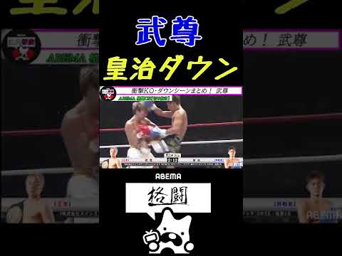 【武尊】怒りのこぶしで皇治からダウンを奪う！【KO集】【格闘技】【K-1】【切り抜き】 #Shorts