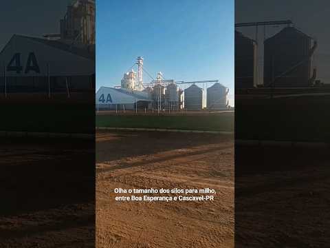 Olha o tamanho dos silos para milho, entre Boa Esperança e Cascavel-PR #shortsyoutube