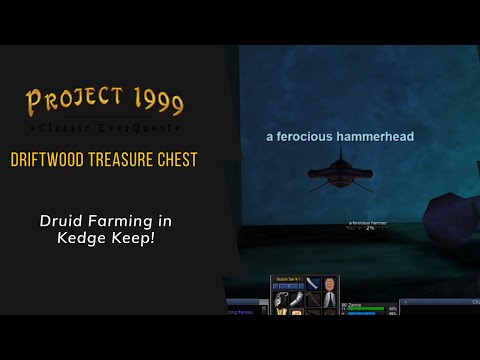 Everquest P99 - Druid Farming in Kedge Keep: Driftwood Treasure Chest.