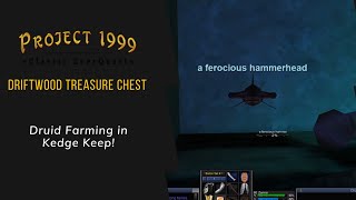 Everquest P99 - Druid Farming in Kedge Keep: Driftwood Treasure Chest.