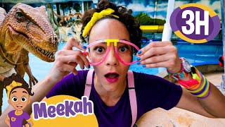 Where's Stanley The Dinosaur? | Educational Videos for Kids | Blippi and Meekah Kids TV