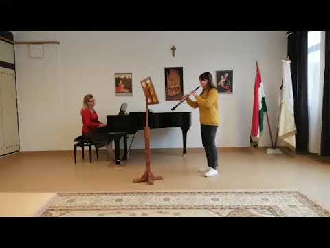 Csaba Zonga videója