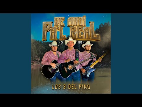 Derecho o Doblado (En Vivo)