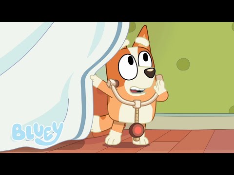 Docteur Bingo | Le Médecin | Bluey Français Chaîne Officielle