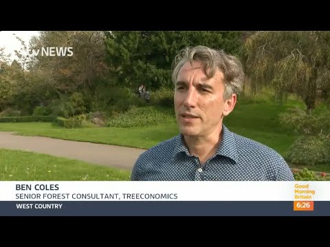 News ITV WestCountry: Exeter i-Tree Eco Project